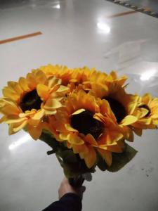 成都找灯具维保服务公司找邓师傅，四川找专业灯具安装维修运营服务中心，就找邓师傅靠谱