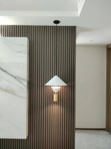 四川邓师傅专业LED射灯、筒灯批发、销售、安装、维修所有需求，深耕金府灯具城多年，免费送货上门安装