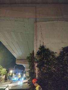 四川选成都邓师傅，园林灯具批发 + 施工安装更省心 